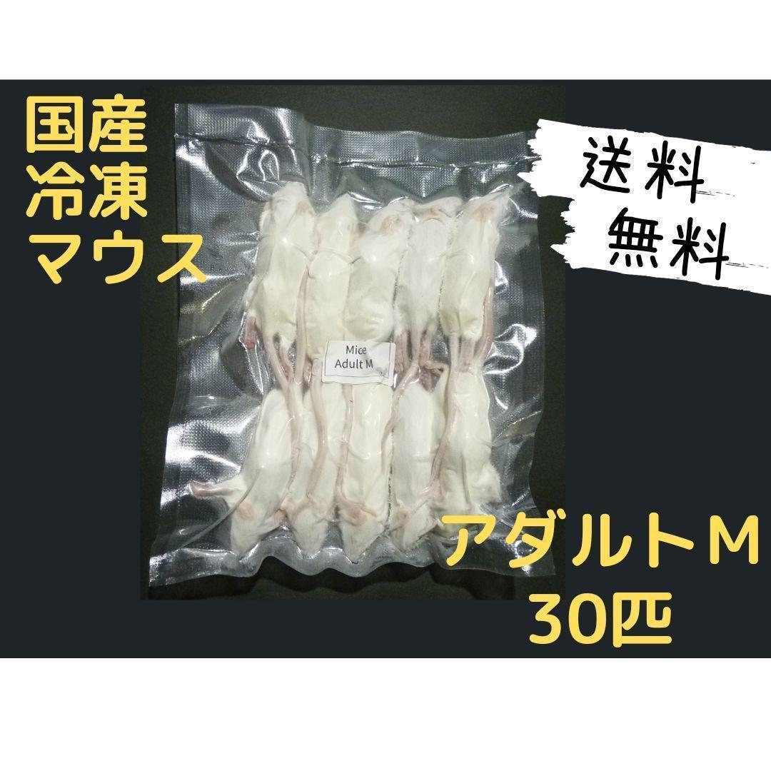 安価 国産冷凍マウス 30匹(送料無料一部地域発送不可 アダルトM 爬虫類・両生類のエサ