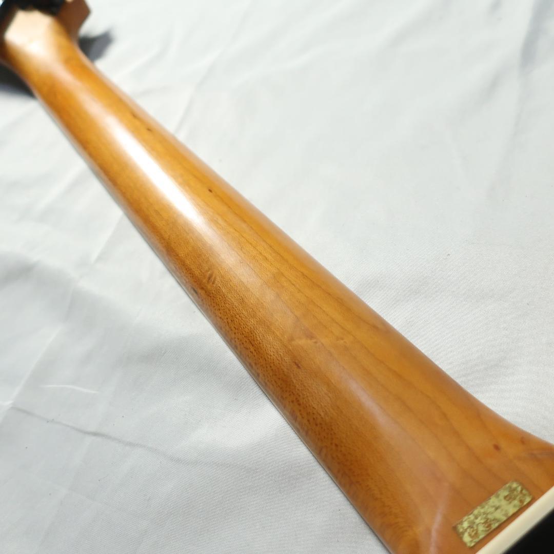 Aria ProII XR-series electrits ギター ケース付