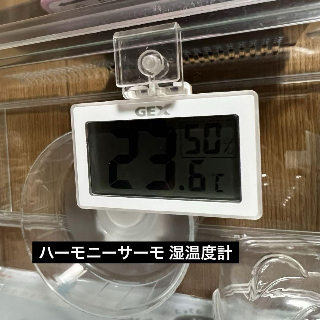 tomiy 様GEX グラスハーモニー 450 Plus ハムスター 飼育セット