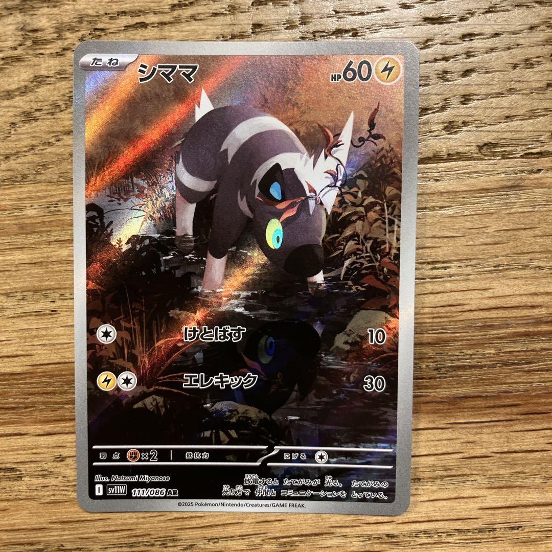 ポケモンカードセット　サザンドラex SAR