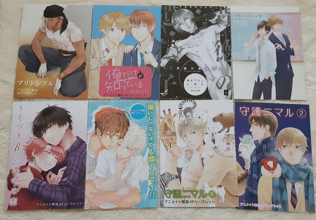 BL 特典　  リーフレットまとめ① 商業BL 特典 リーフレット 小冊子 40冊まとめ売り アニメイト