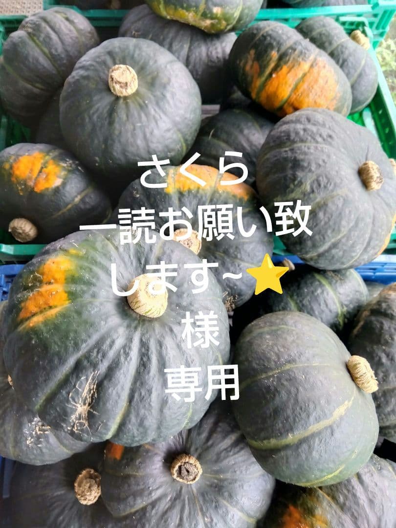 さくら 一読お願い致します~⭐　様　専用