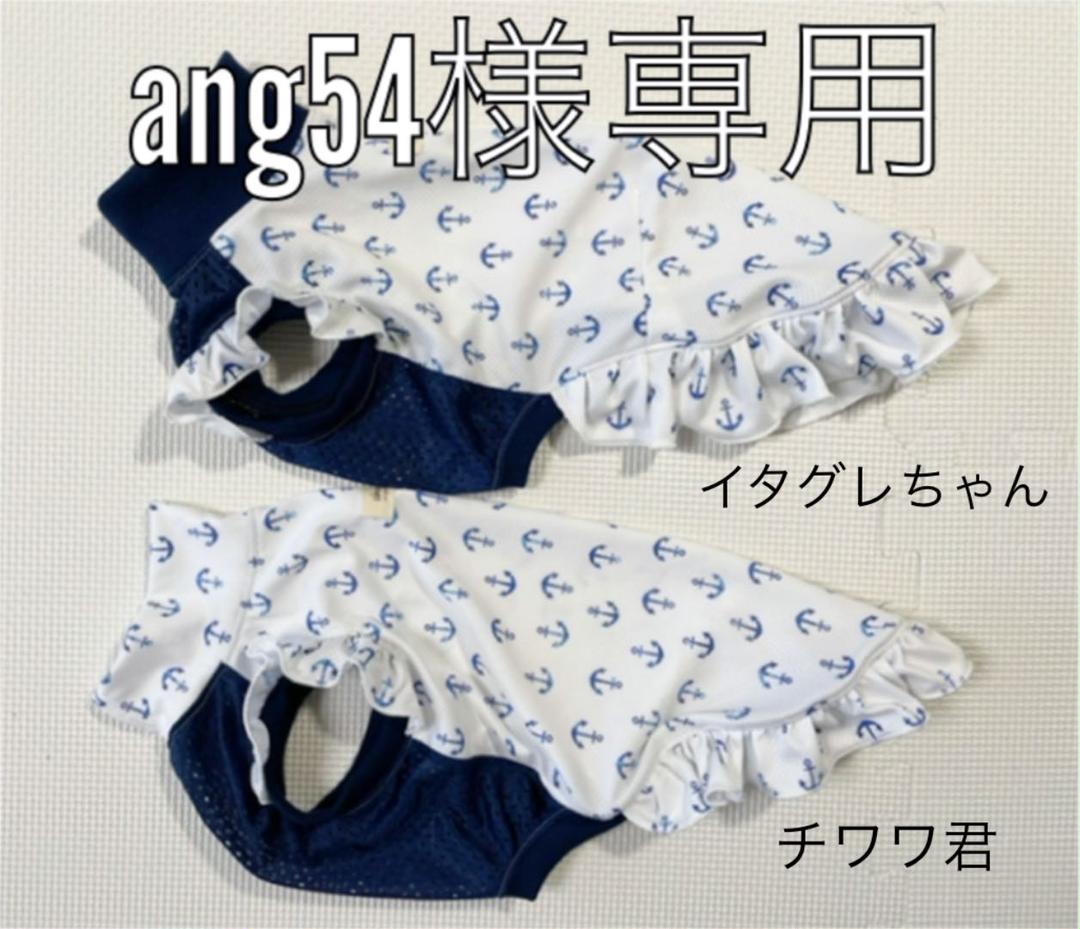 高い素材 犬服 イタグレ服 イカリ柄のタンクトップ 犬用品 ペット用品 オンライン通販 2点ペイズリー柄 ファーベッド Copine Bon Bon ボンボンコピーヌ 犬用品