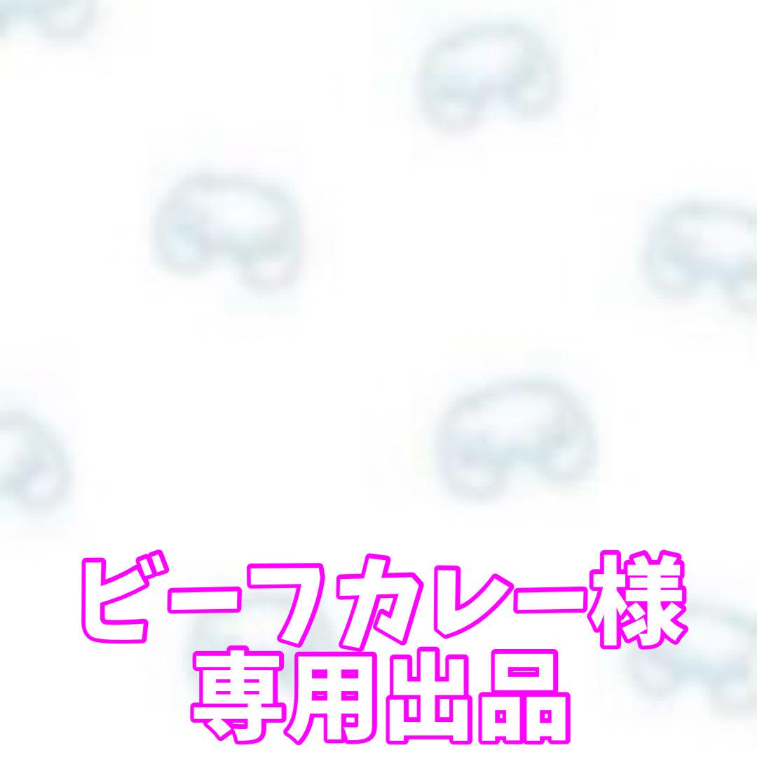 ビーフカレー様 専用出品