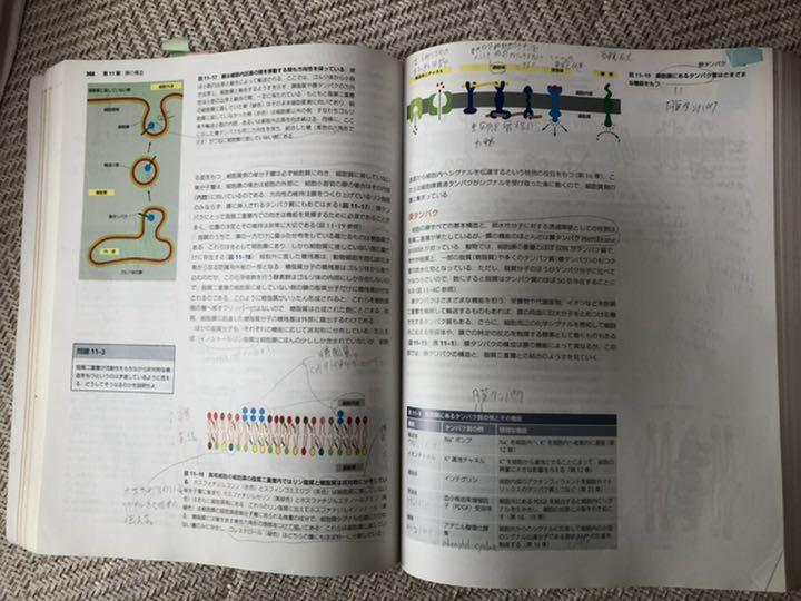 完全送料無料 Essential細胞生物学 riversidemedicalarts.com 完全送料無料 Essential細胞生物学 riversidemedicalarts.com