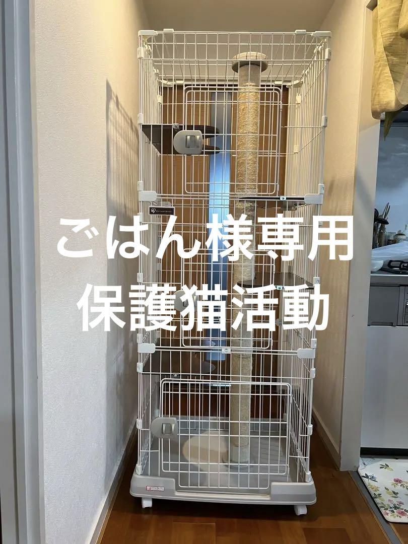 アイリス　キャットタワー