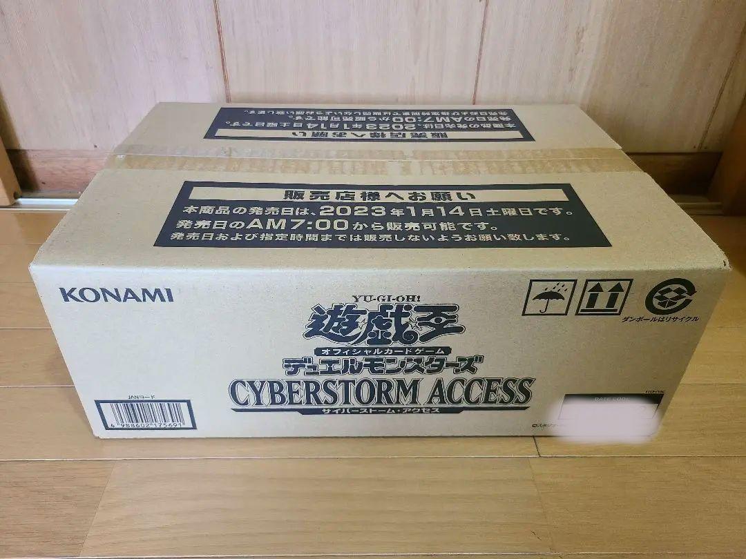 サイバーストーム・アクセス CYBERSTORM ACCESS 初回版 BOX