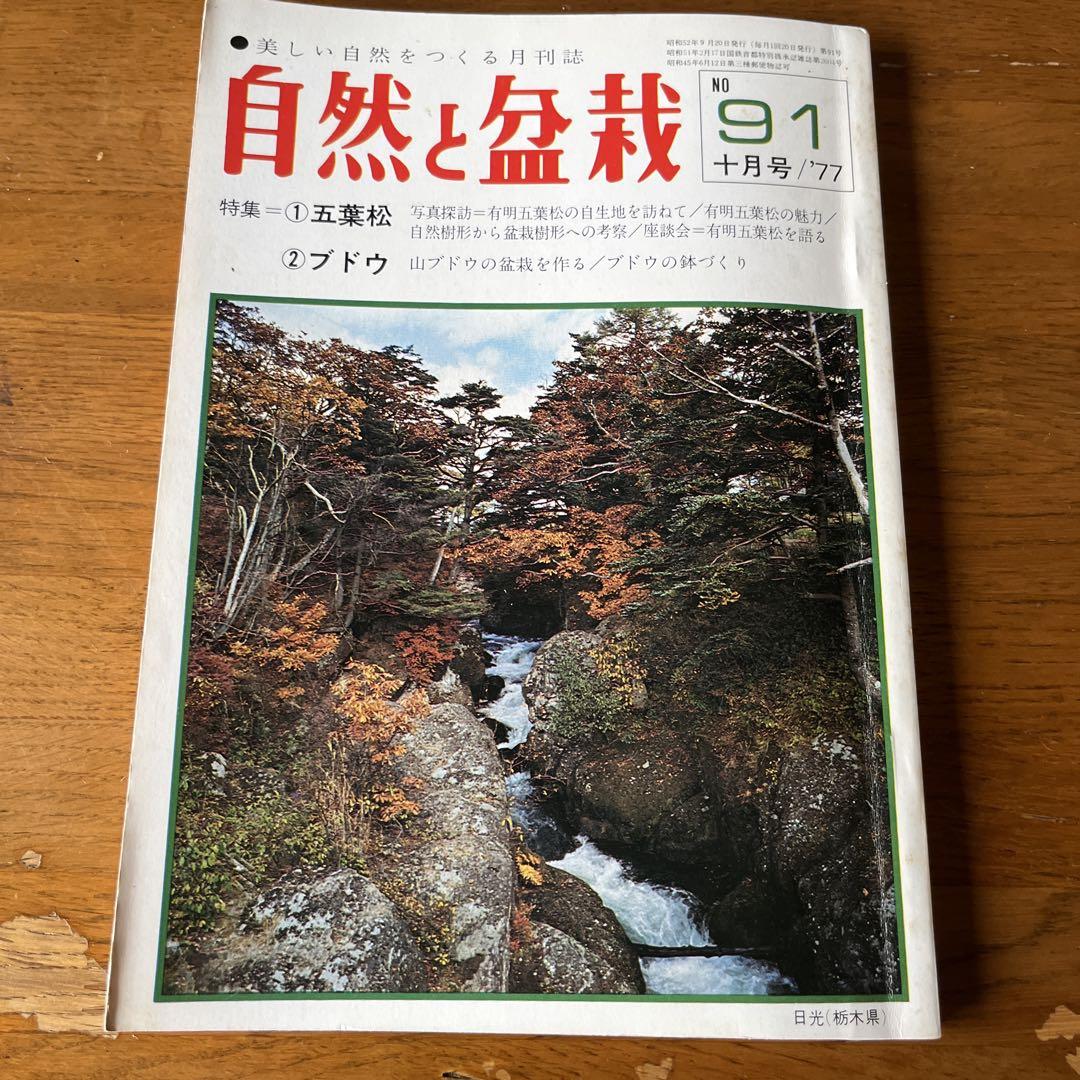 自然と盆栽70号〜104号（1976年〜1978年）35冊 趣味
