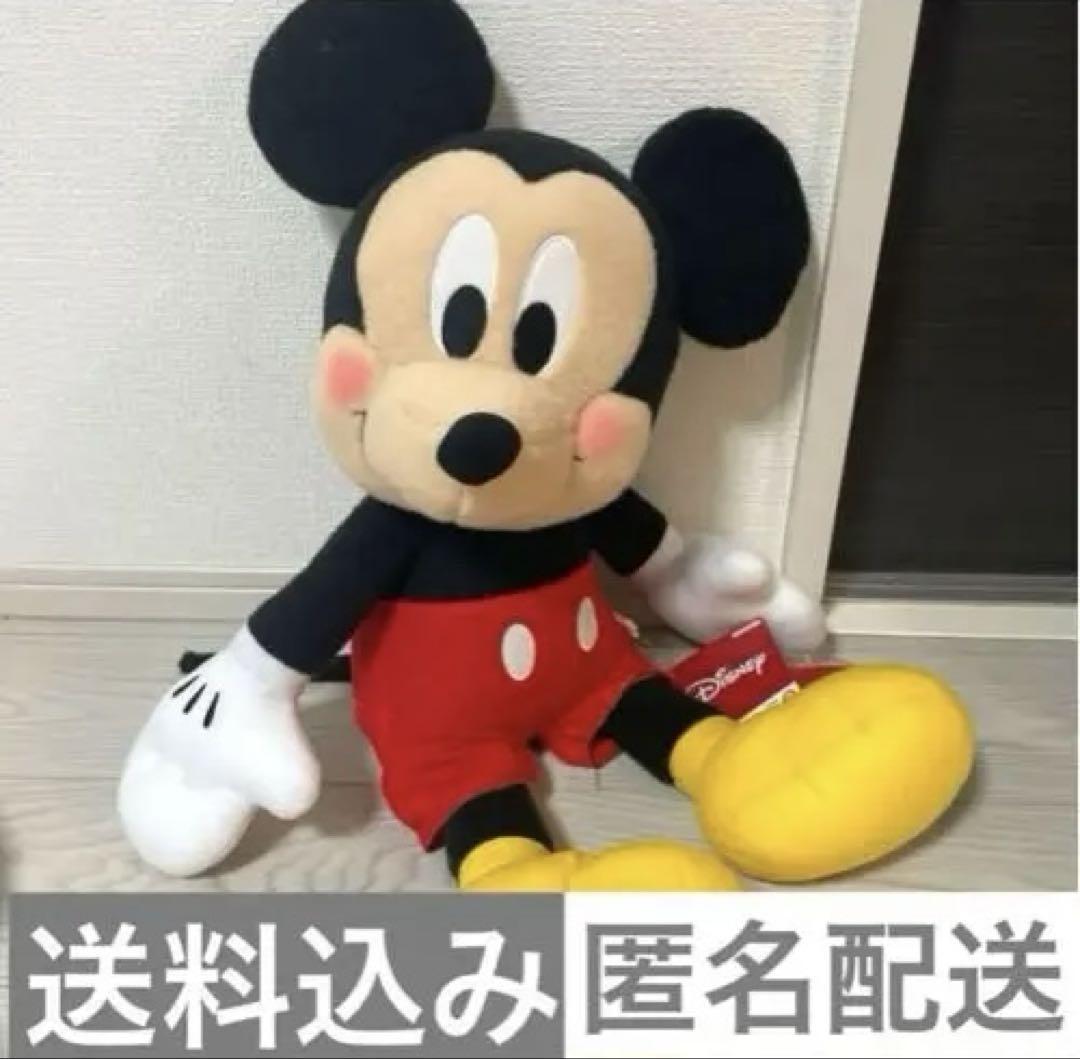 レインボー ミッキーマウス ぬいぐるみ 約30cm Disney ミッキーマウス ぬいぐるみ 約30cm - メルカリ