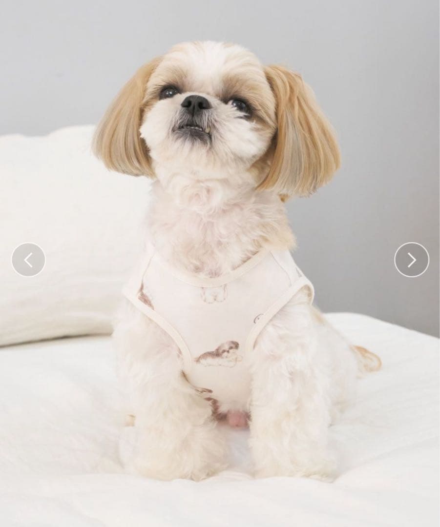 ジェラートピケ 【CAT&DOG】シーズー柄プルオーバー ジェラートピケ 【CAT&DOG】シーズー柄プルオーバー