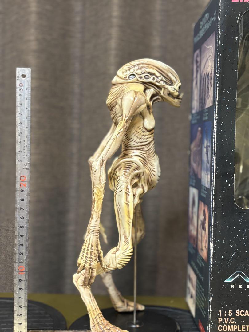 NEWBORN ALIEN 1/5スケール フィギュア 塗装済み 完成品