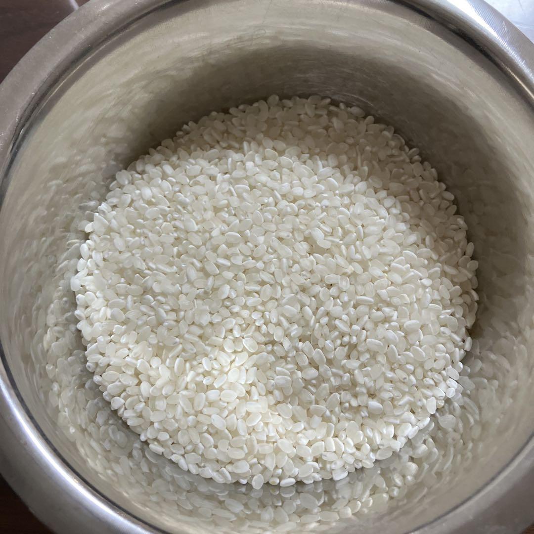 【新米✨送料無料】令和6年度 コシヒカリ 10kg 讃岐産 精米済み