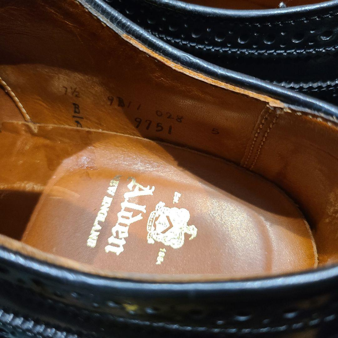Alden 9751 7ハーフ D シューツリー付き