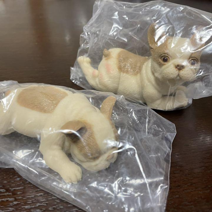 最大58 オフ むにゃむにゃ おおきなフレンチブルドッグ