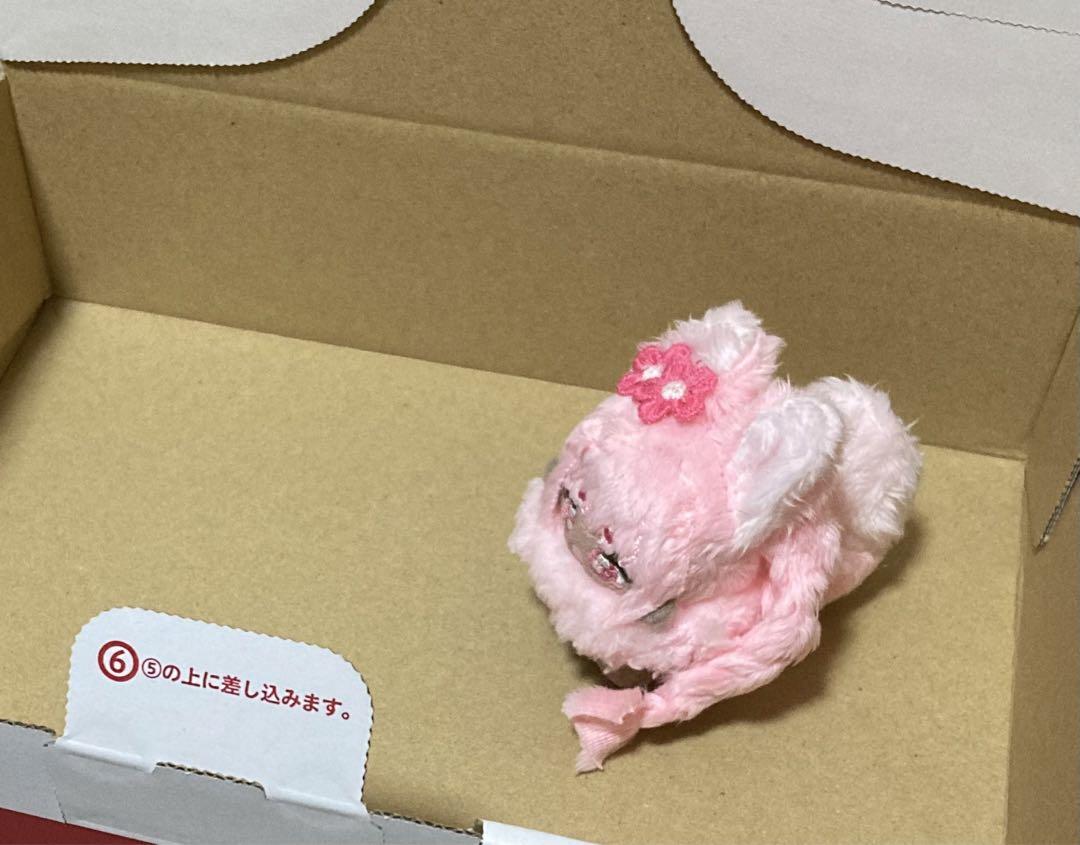 セミオーダー・ごはん