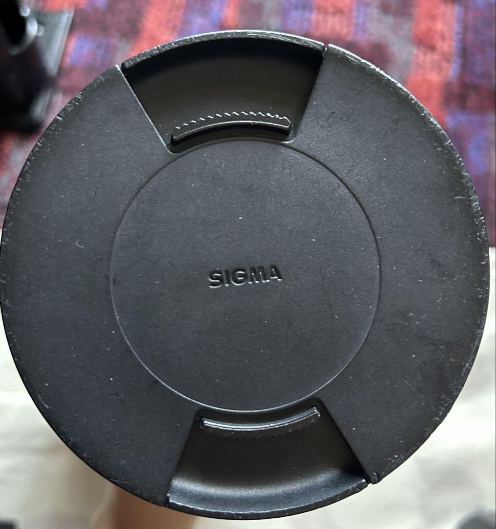 Nikon D5600 SIGMA 150-600mm ニコン シグマ セット
