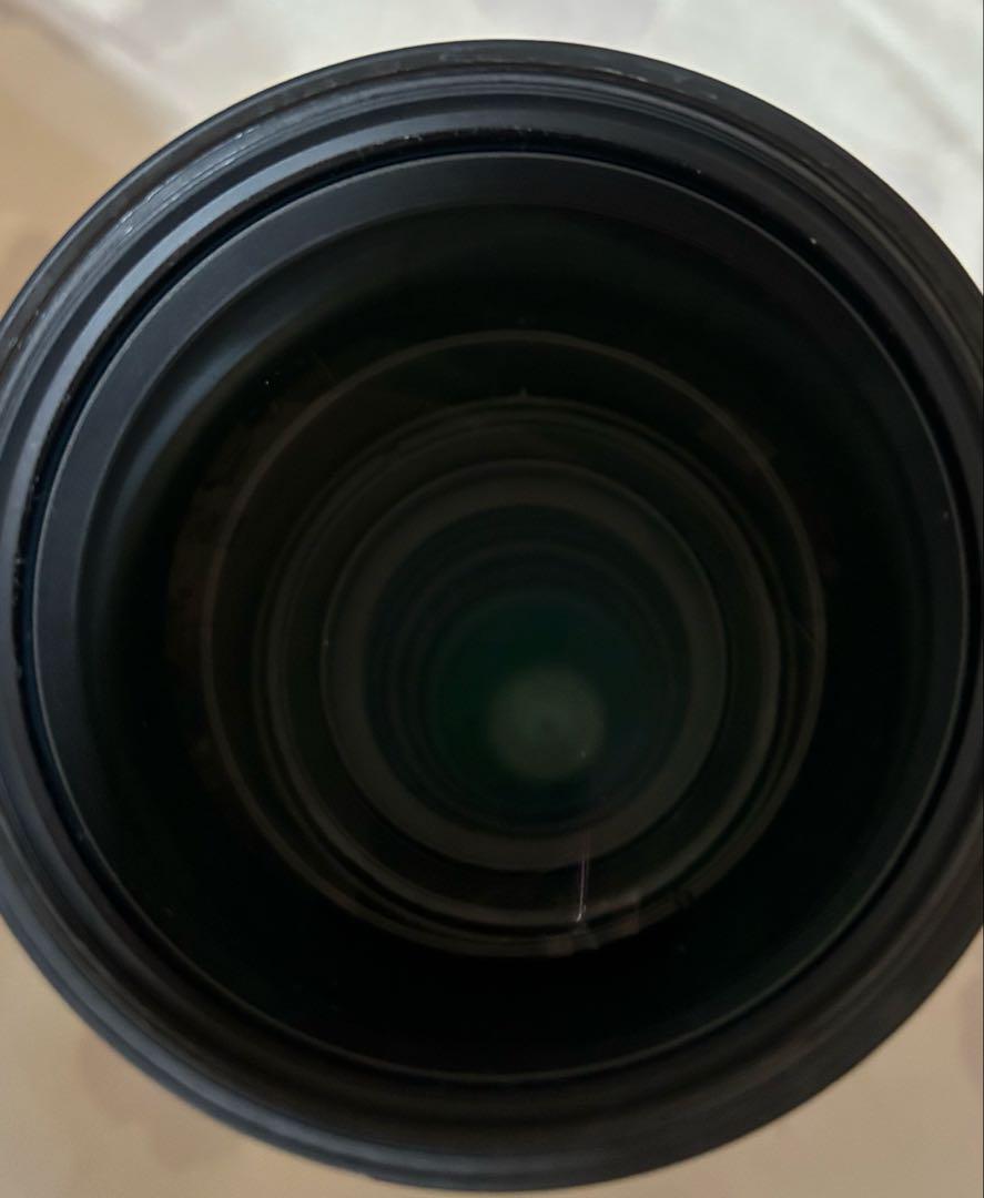 Nikon D5600 SIGMA 150-600mm ニコン シグマ セット