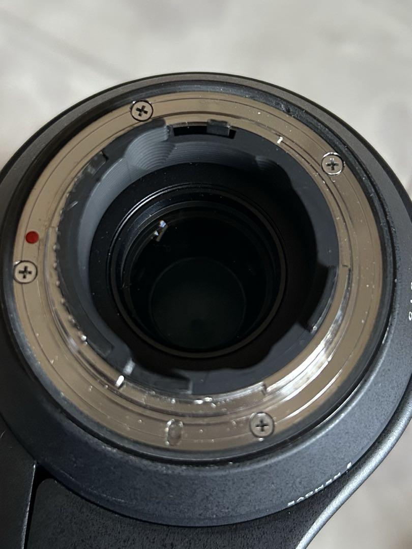 Nikon D5600 SIGMA 150-600mm ニコン シグマ セット