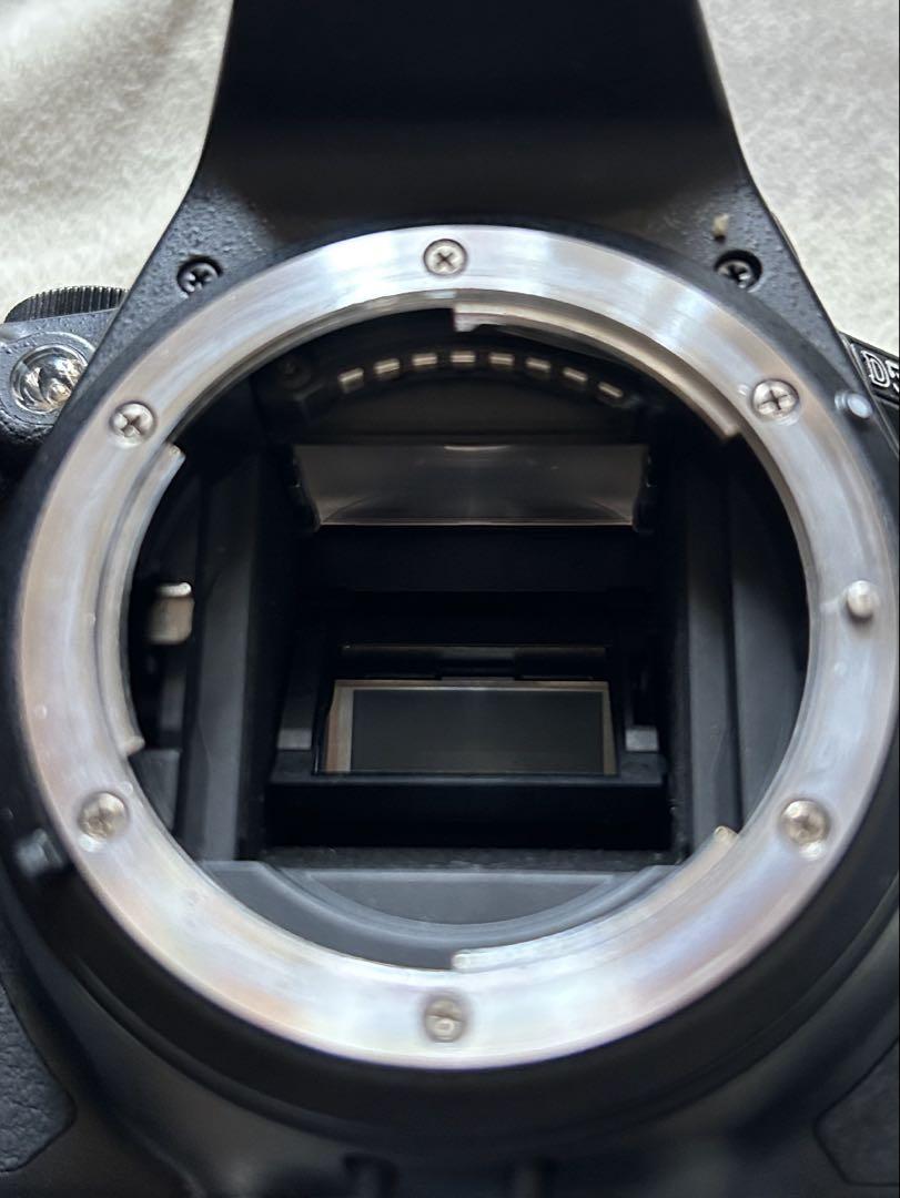 Nikon D5600 SIGMA 150-600mm ニコン シグマ セット