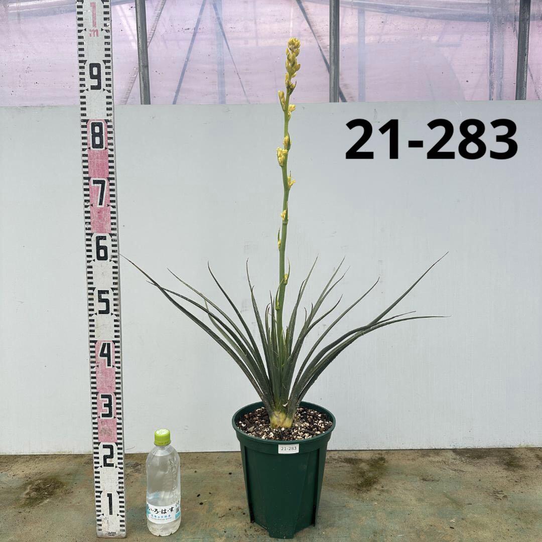 imgrc0107523289.jpg
