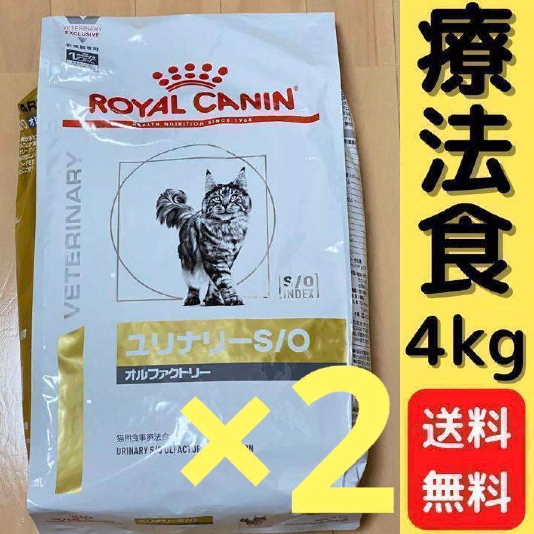 ユリナリーCLT チャンクイングレービー　パウチ×20 ドライ×20 ユリナリーCLT チャンクイングレービー パウチ×20 ドライ×20 猫用品