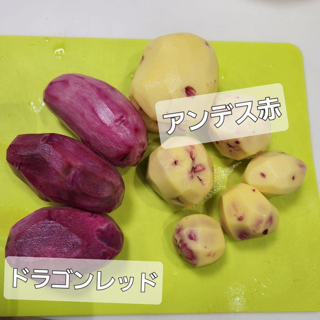 じゃがいもドラゴンレッド　8キロ　農薬、化学肥料不使用