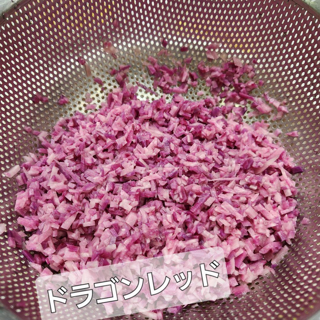 じゃがいもドラゴンレッド　8キロ　農薬、化学肥料不使用