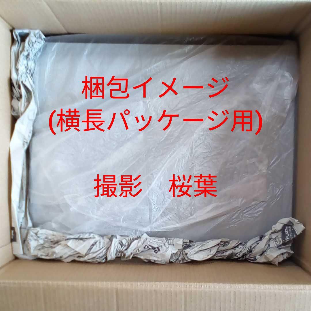 おもちゃ⒡ ガンプラ 新品 未組立 プレミアムバンダイ限定 IXrEU-m89533552151 MG スラッシュザクファントム までの