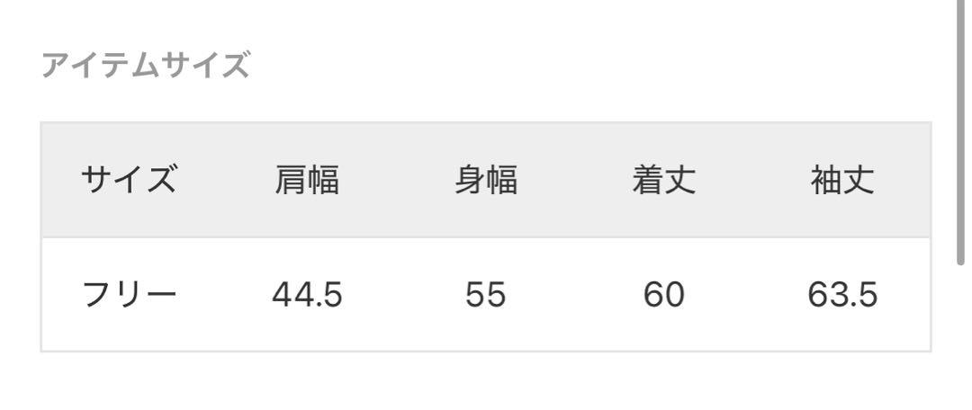 【美品】SLOBE IENA チャンピオンSLOBE別注 ダブルジップ パーカー