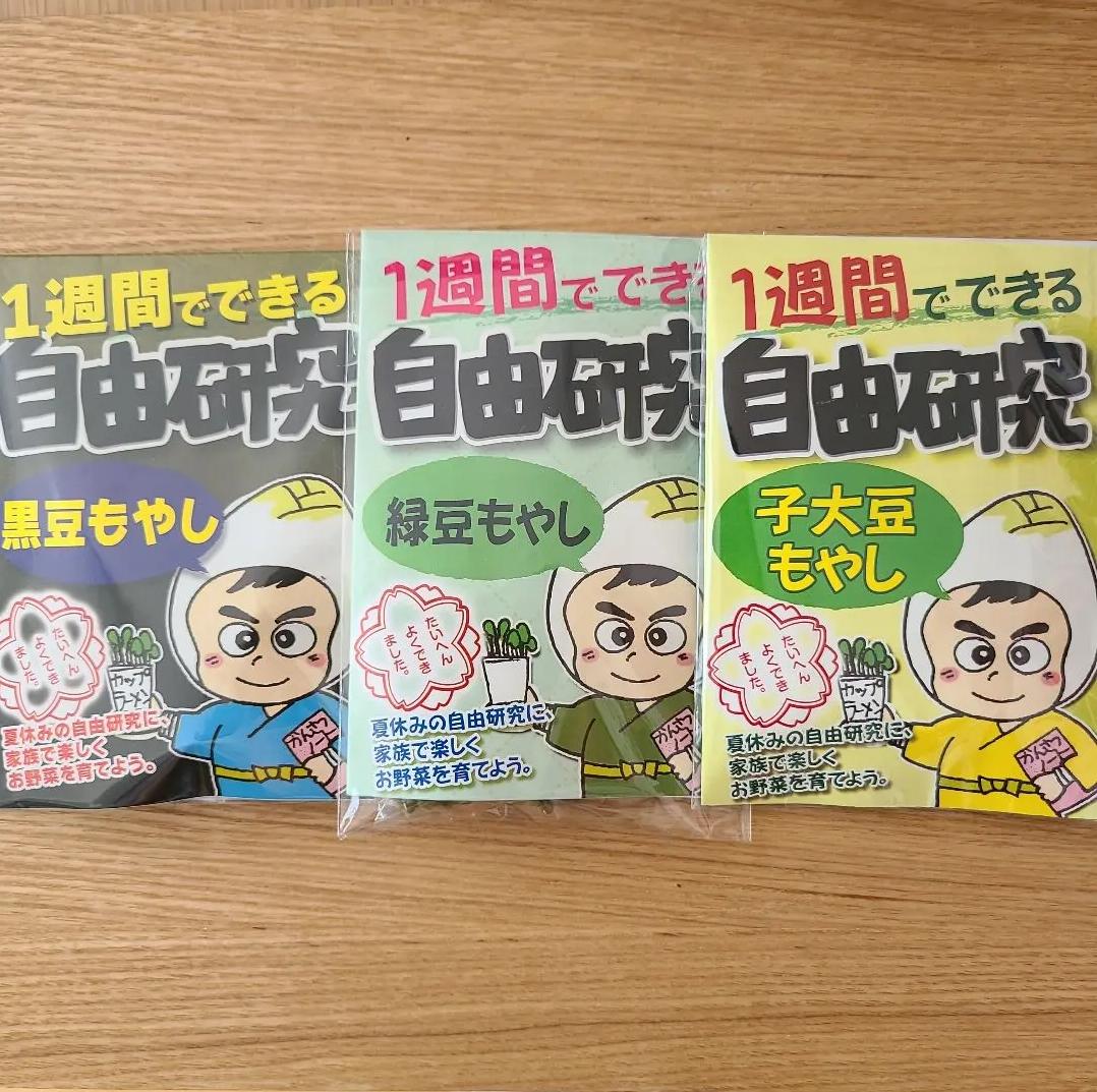 AD もやし　夏休み　自由研究　3点セット JI