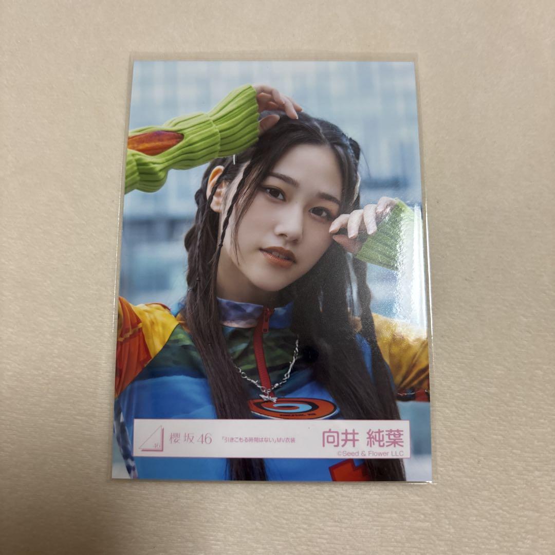 櫻坂46 向井純葉　生写真　引きこもる時間はない　MV衣装　コンプ 櫻坂46 向井純葉 生写真 引きこもる時間はない ヨリ - メルカリ