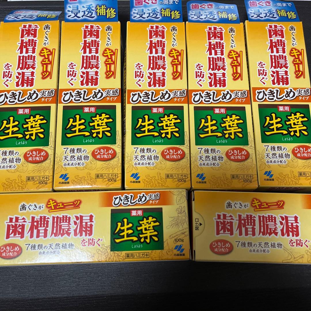 薬用 生葉 ひきしめ実感タイプ 7本セット