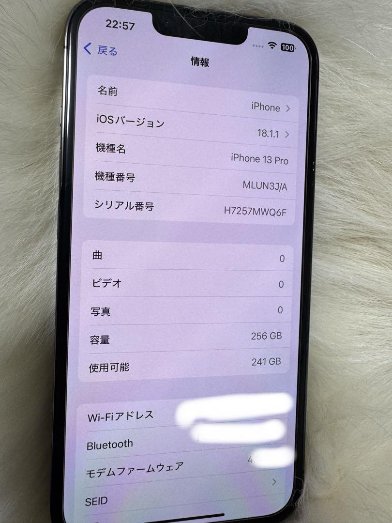 13 PRO