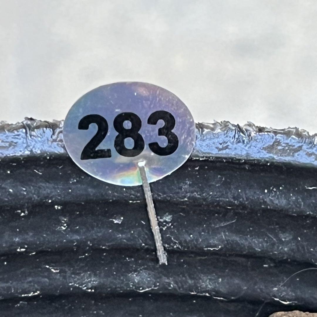 283