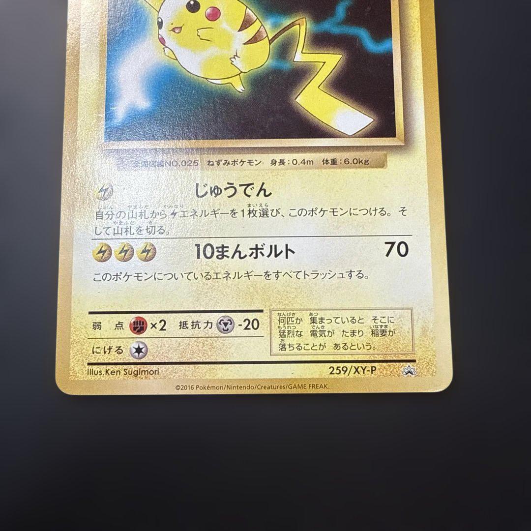 ポケモンカード ピカチュウ ポケモンパン プロモ 259/XY-P