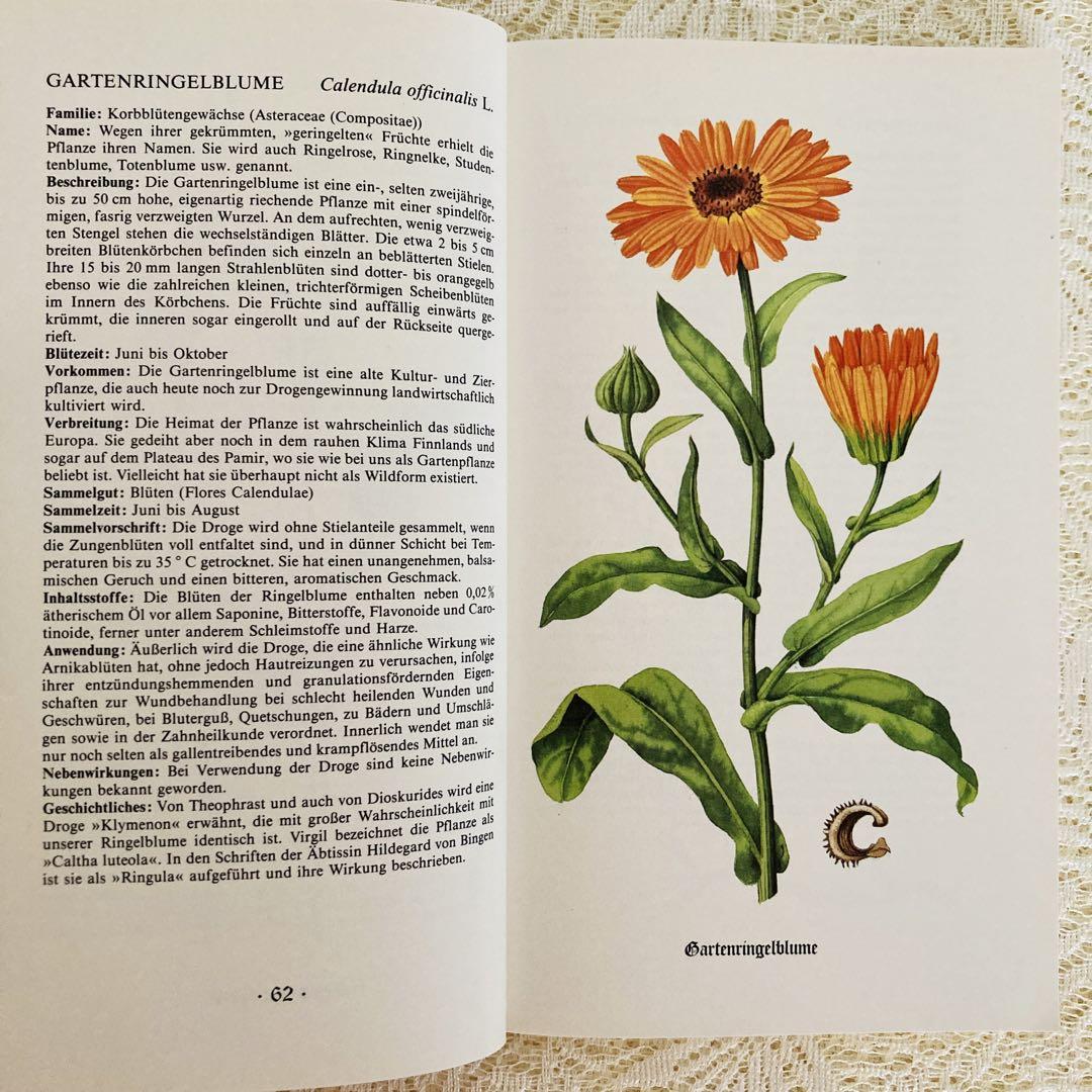 洋書古書ドイツ植物図鑑ハーブ図鑑