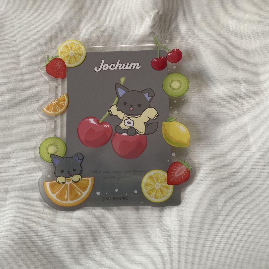 JOCHUM ピーハイ　トレカホルダー トレカケース 商品詳細ページ | JO1 OFFICIAL STORE | トレーディングカード用
