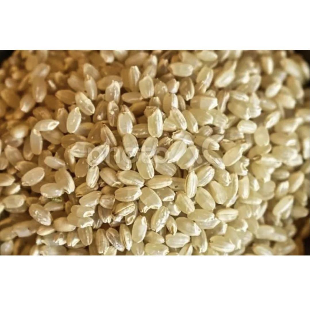 新米コシヒカリ 令和4年茨城産 30kg 販売実績多数 ご好評頂いてます ...