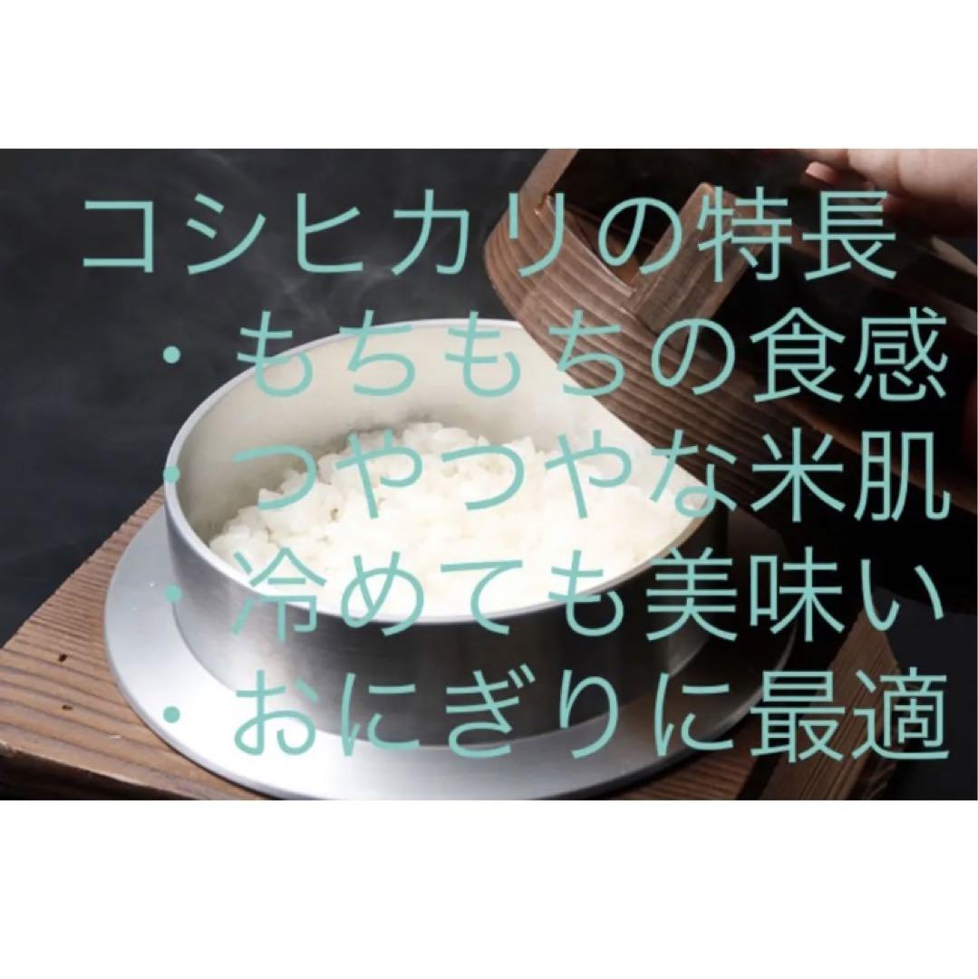 新米コシヒカリ 令和4年茨城産 30kg 販売実績多数 ご好評頂いてます ...
