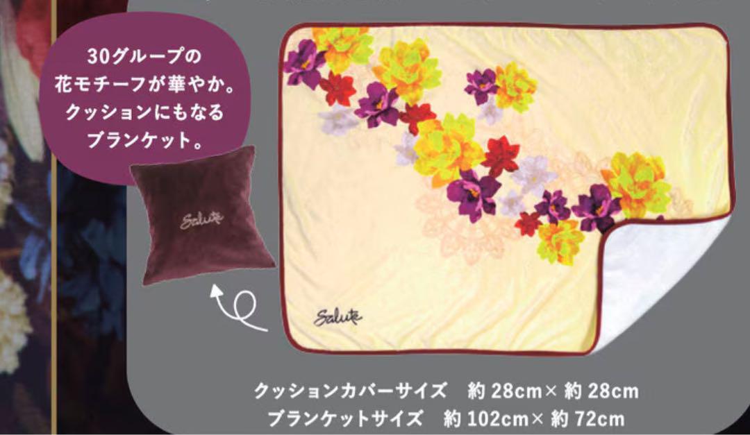 新品非売品サルートブランケット