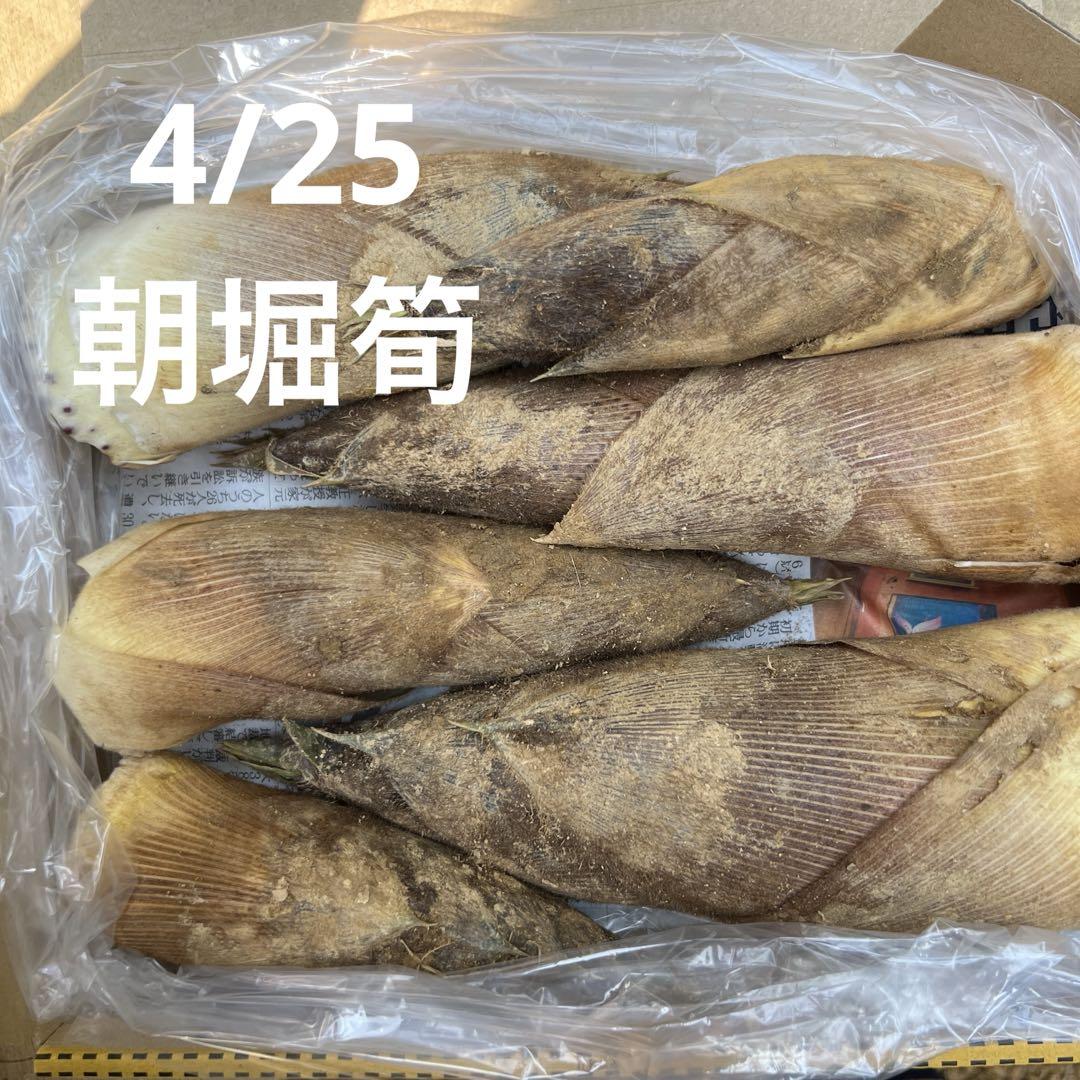 京都産 報恩寺筍 箱込1.4キロ⑧ - メルカリ 京都産 報恩寺筍 箱込1.4キロ⑧ - メルカリ