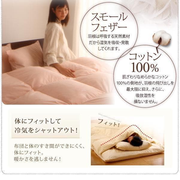 8点セットシングルベッドタイプBL