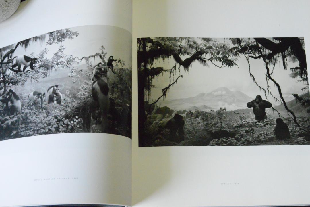 HIROSHI SUGIMOTO 杉本博司　森美術館展覧会図録 HIROSHI SUGIMOTO】杉本博司 2005年 森美術館展覧会図録 - メルカリ
