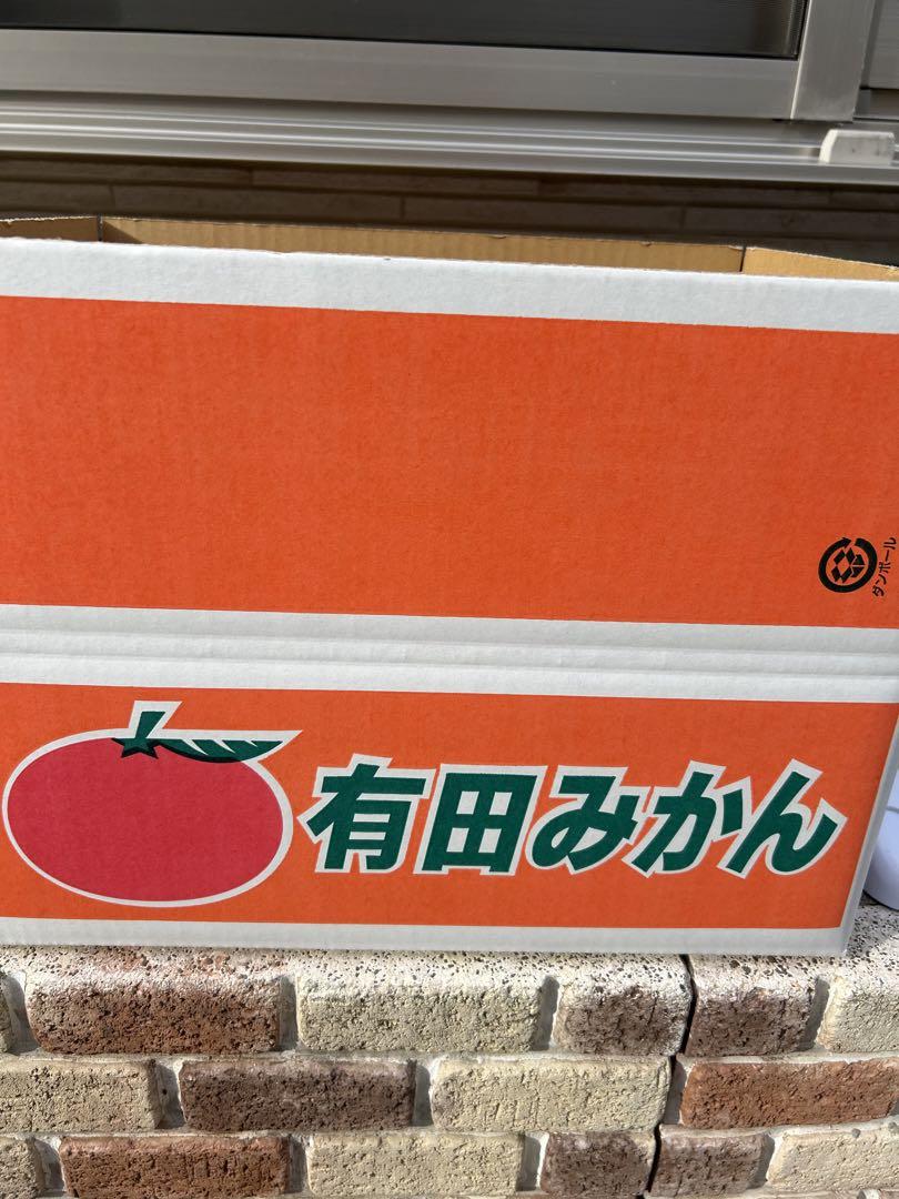 はるみみかん５キロ×2箱