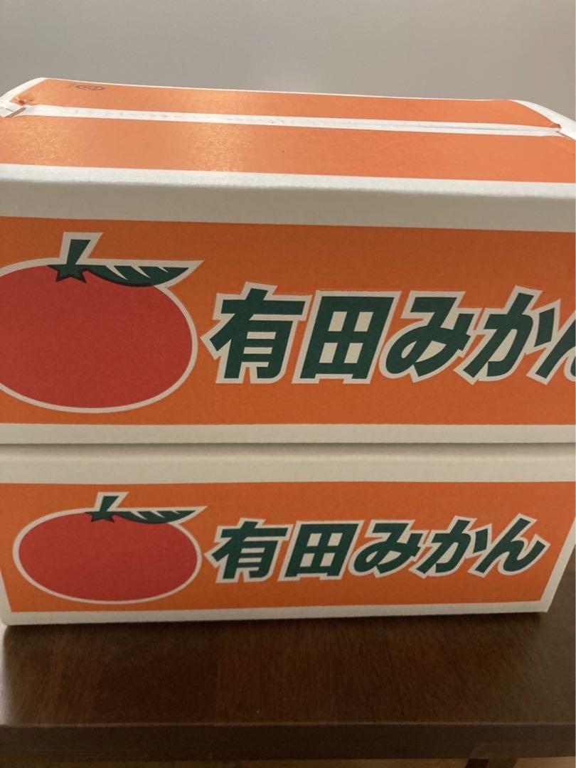 はるみみかん５キロ×2箱