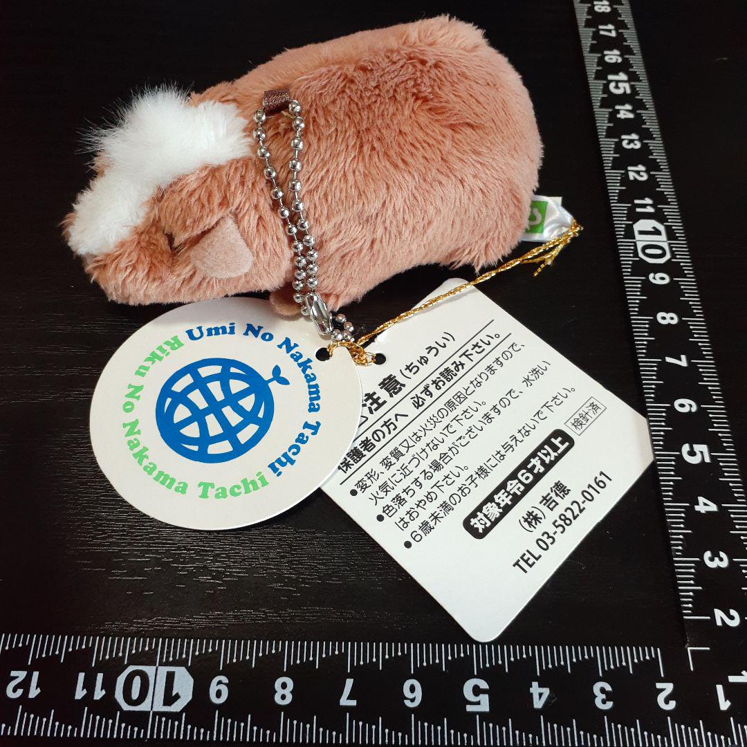 ぷらさぷ  サラブレッドコレクション イクイノックス リバティ アーモンド エフ 大人気定番商品 サラブレッドコレクション ぷらさぷ」が6月29日