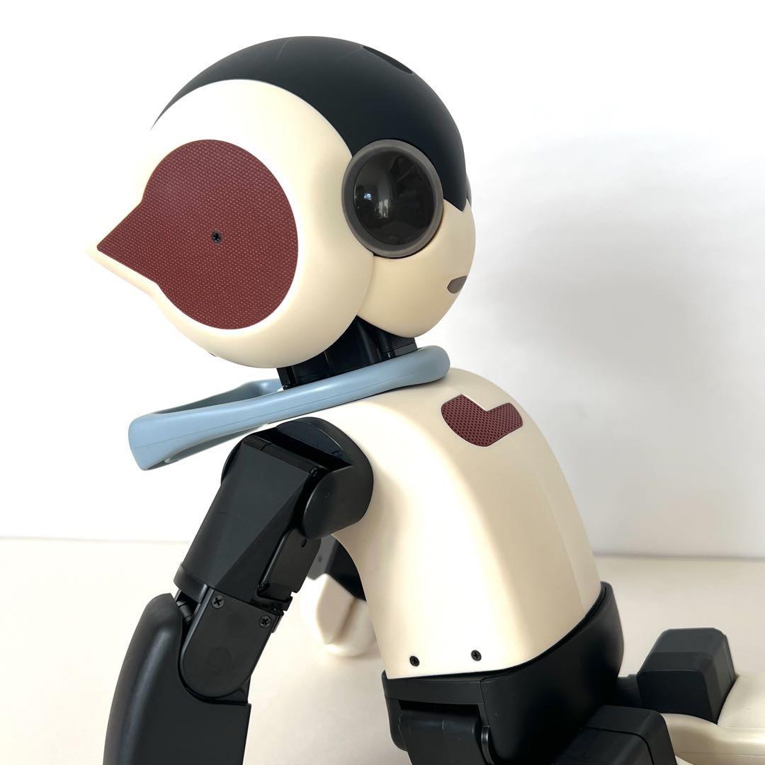 Robi