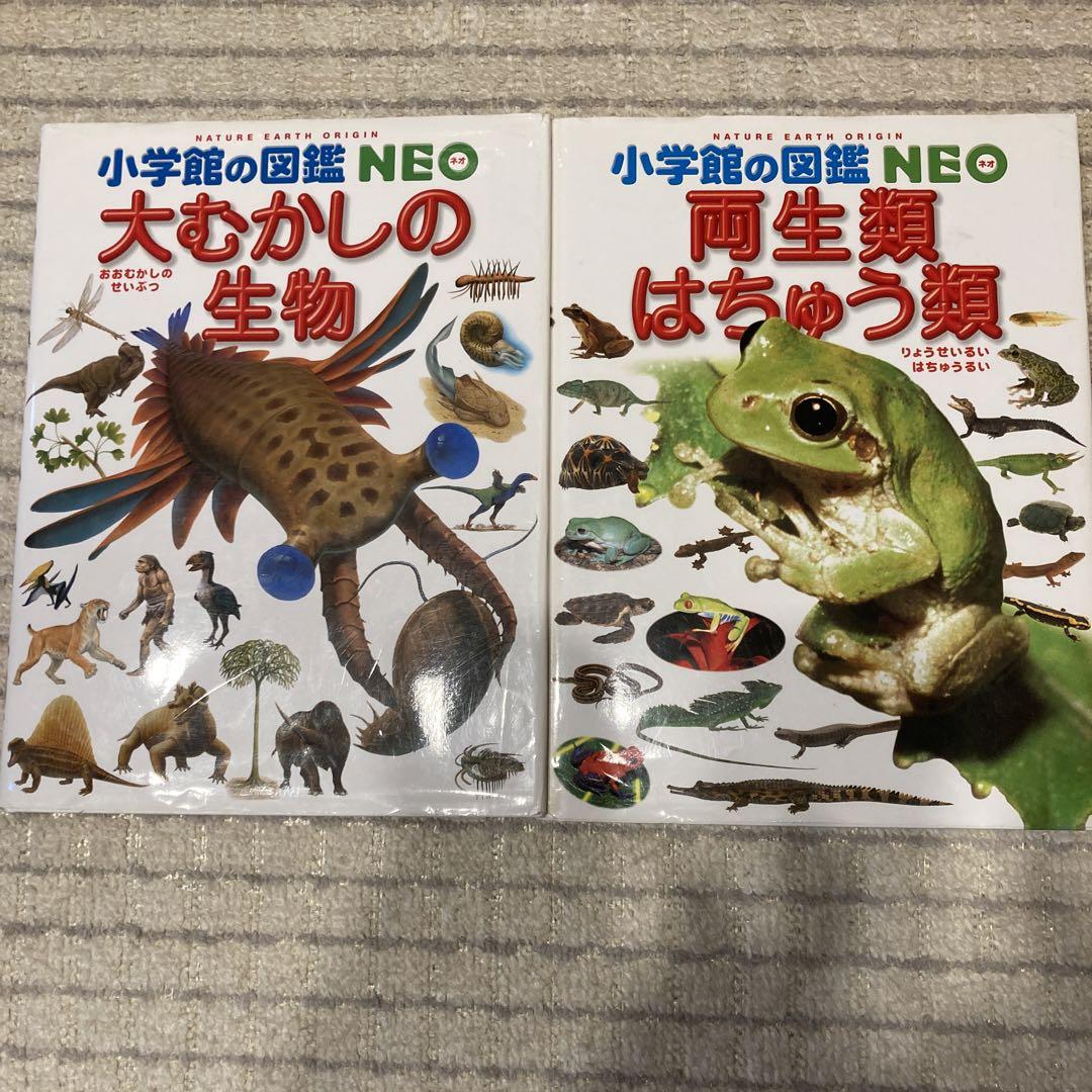 小学校の図鑑 NEO 大むかしの生物 & 両生類はちゅう類 2冊セット