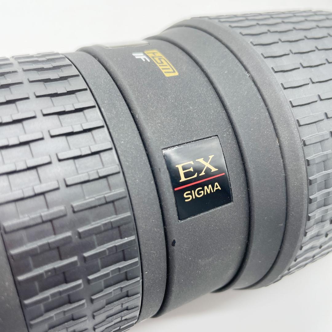 シグマ 100-300mm