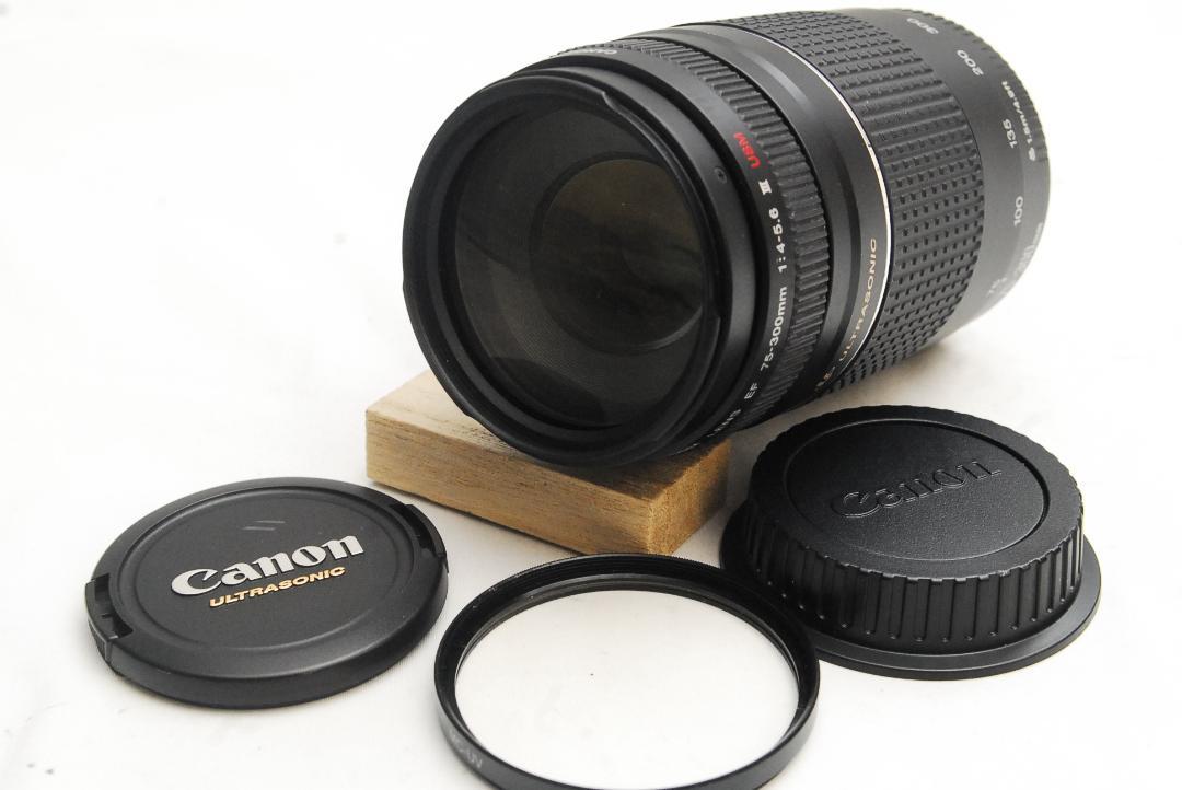 CANON ZOOM LENS EF 75-300mm 1:4-5.6 ⅢUSM